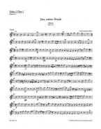 Jesu, meine Freude BWV 227 