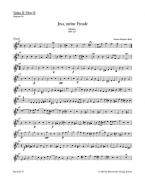 Jesu, meine Freude BWV 227 