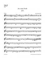 Jesu, meine Freude BWV 227 