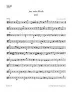 Jesu, meine Freude BWV 227 