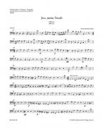 Jesu, meine Freude BWV 227 
