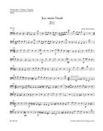 Jesu, meine Freude BWV 227 