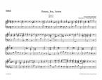 Komm, Jesu, komm BWV 229 