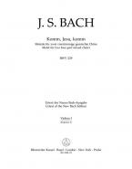 Komm, Jesu, komm BWV 229 