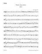 Komm, Jesu, komm BWV 229 