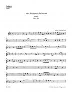 Lobet den Herrn, alle Heiden BWV 230 