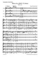Missa en sol mineur BWV 235 Standard