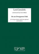 On An Overgrown Path 