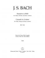 Concerto en la mineur BWV 1041 