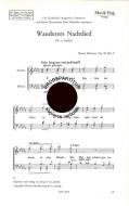 Wanderers Nachtlied 