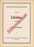 Lilofee 