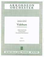 Videbum 