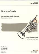 Konzert-Fantasie es-Moll 