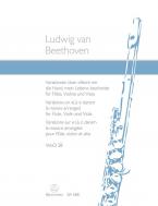 Variations sur "La ci darem la mano" WoO 28 