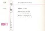 Waldeinsamkeit 