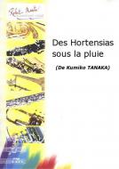 Des Hortensias sous la pluie 