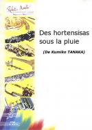 Des hortensias sous la pluie pour trombone en ut et piano 