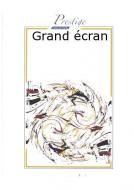 Grand ecran 