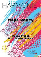 Napa Valley 