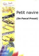 Petit navire 