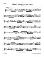 Les pleurs et les lamentations, les tourments et le découragement BWV 12 