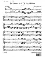 Le ciel rit, la terre jubile BWV 31 