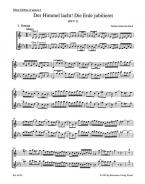 Le ciel rit, la terre jubile BWV 31 