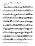 Élancez-vous joyeusement jusqu'aux sublimes étoiles BWV 36 