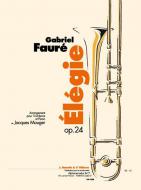 Elegie, Op. 24 