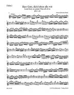 Seigneur Dieu, tous nous te louons BWV 130 