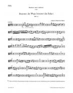 Préparez le chemin, préparez la voie! BWV 132 