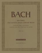 Un cœur qui sait que son Jésus est vivant BWV 134 