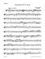 Concerto No. 1 en sol majeur 