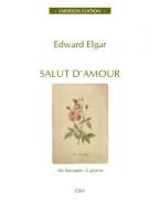 Salut D'Amour 