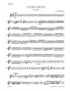 Concerto en mi mineur TWV 52:e1 