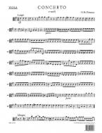 Concerto en mi mineur TWV 52:e1 