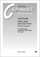 Meine Seele preist den Herrn 