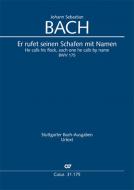 Er rufet seinen Schafen mit Namen Standard