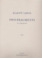 Two Fragments 
