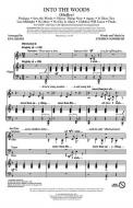 Into The Woods (Medley) 