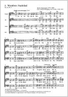 Chant de nuit de randonnée 