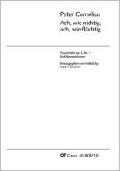 Ach wie nichtig, ach wie flüchtig 