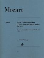 10 Variations sur Unser dummer Pöbel meint KV 455 