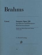 Sonates pour piano et clarinette (ou alto) (version pour alto) op. 120/1 u. 2 