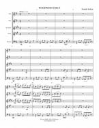 Woodwind Strut 