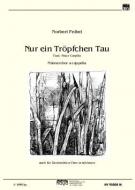 Nur ein Tröpfchen Tau 