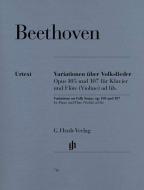 Variations sur des chants populaires pour piano et flute (violon) ad lib. op. 105 und 107 