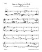 Loue le Seigneur, ô mon âme BWV 143 