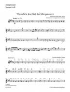 organ plus brass, volume II: cinq préludes de choral du romantisme 
