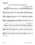 organ plus brass, volume II: cinq préludes de choral du romantisme 